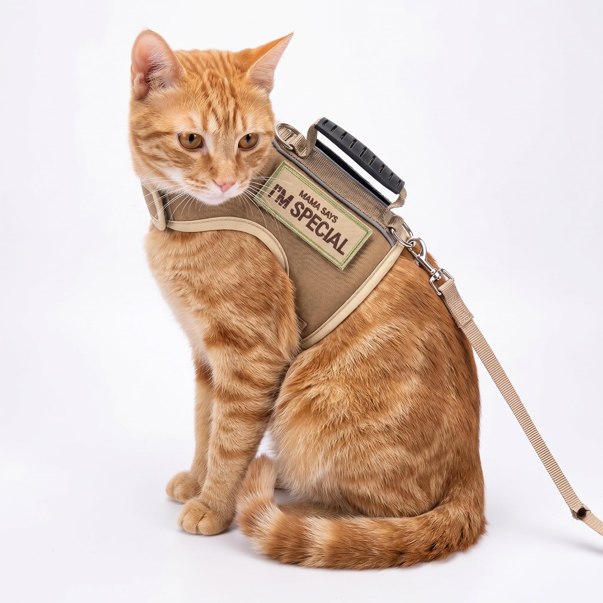 YIZHI MIAOW harnais taille M posé pour comparaison d'échelle