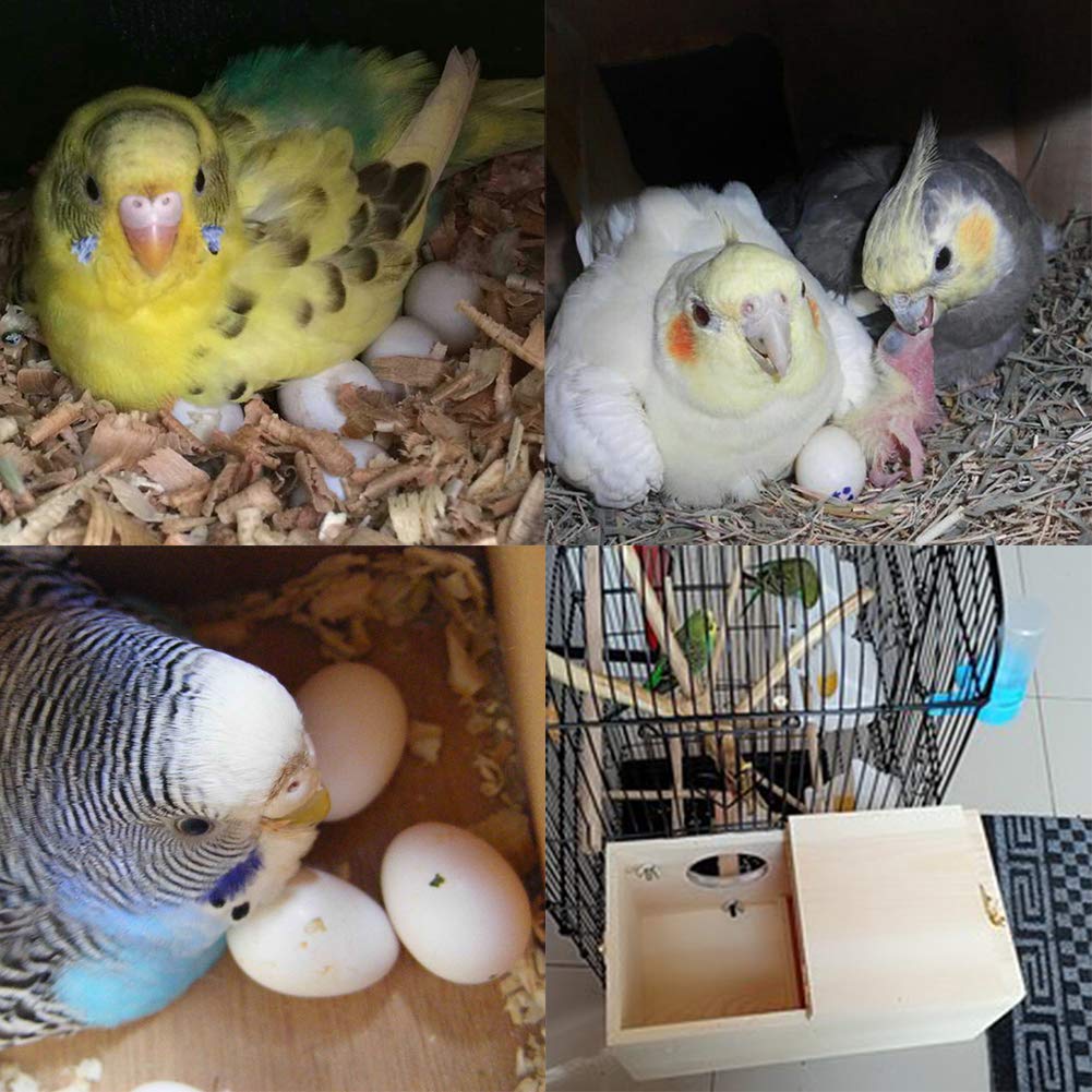 YJJKJ nichoir installé dans une cage pour montage intérieur simple