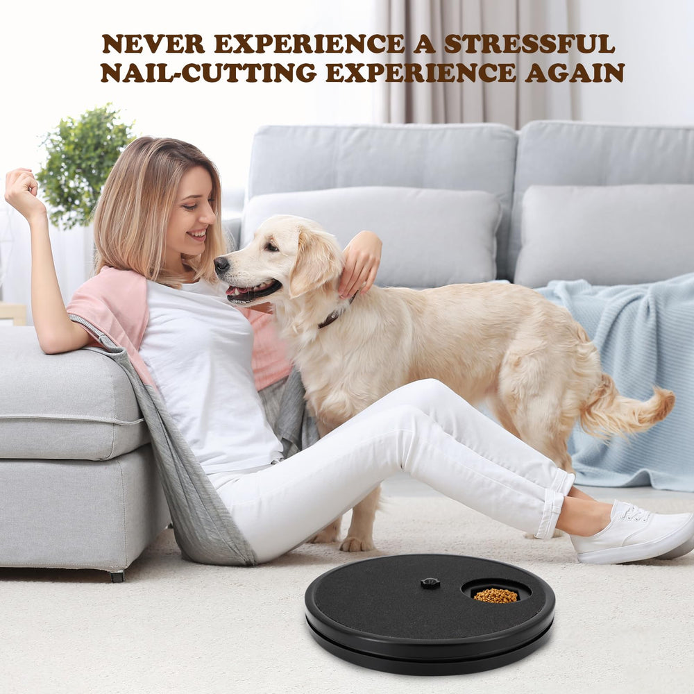 Ykall comparaison échelle montrant taille adaptée à chiens