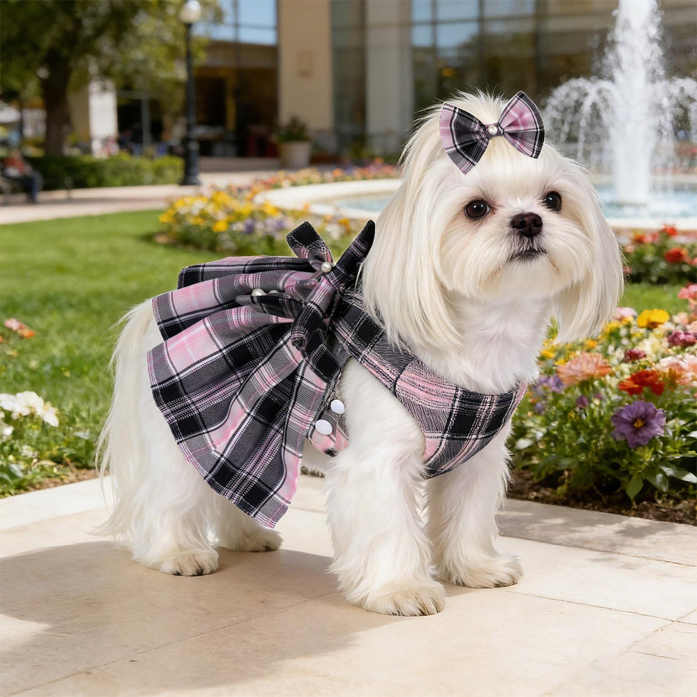 YKYUASD petit chien porte ensemble lors d’une sortie