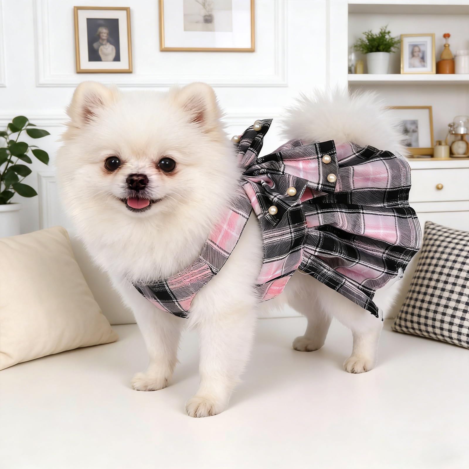 YKYUASD chien portant la robe-harnais en balade au parc