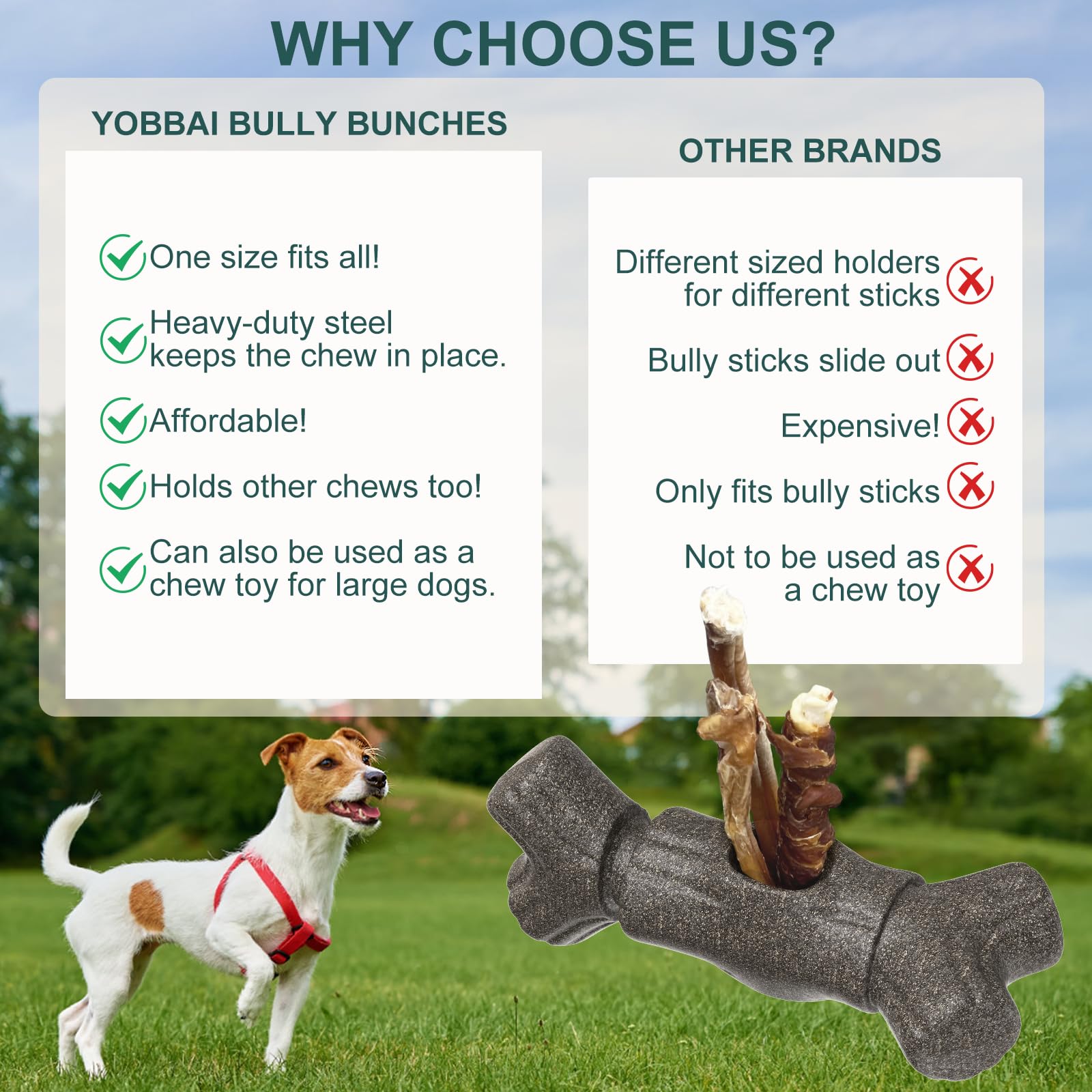Yobbai en usage tenant un bully stick pour prévenir l’ingestion et prolonger la mastication