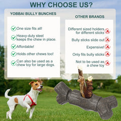 Yobbai en usage tenant un bully stick pour prévenir l’ingestion et prolonger la mastication