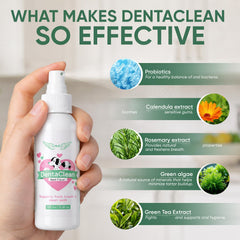 YOCMIPS spray appliqué sur les dents d’un chien pour meilleur accès aux zones difficiles