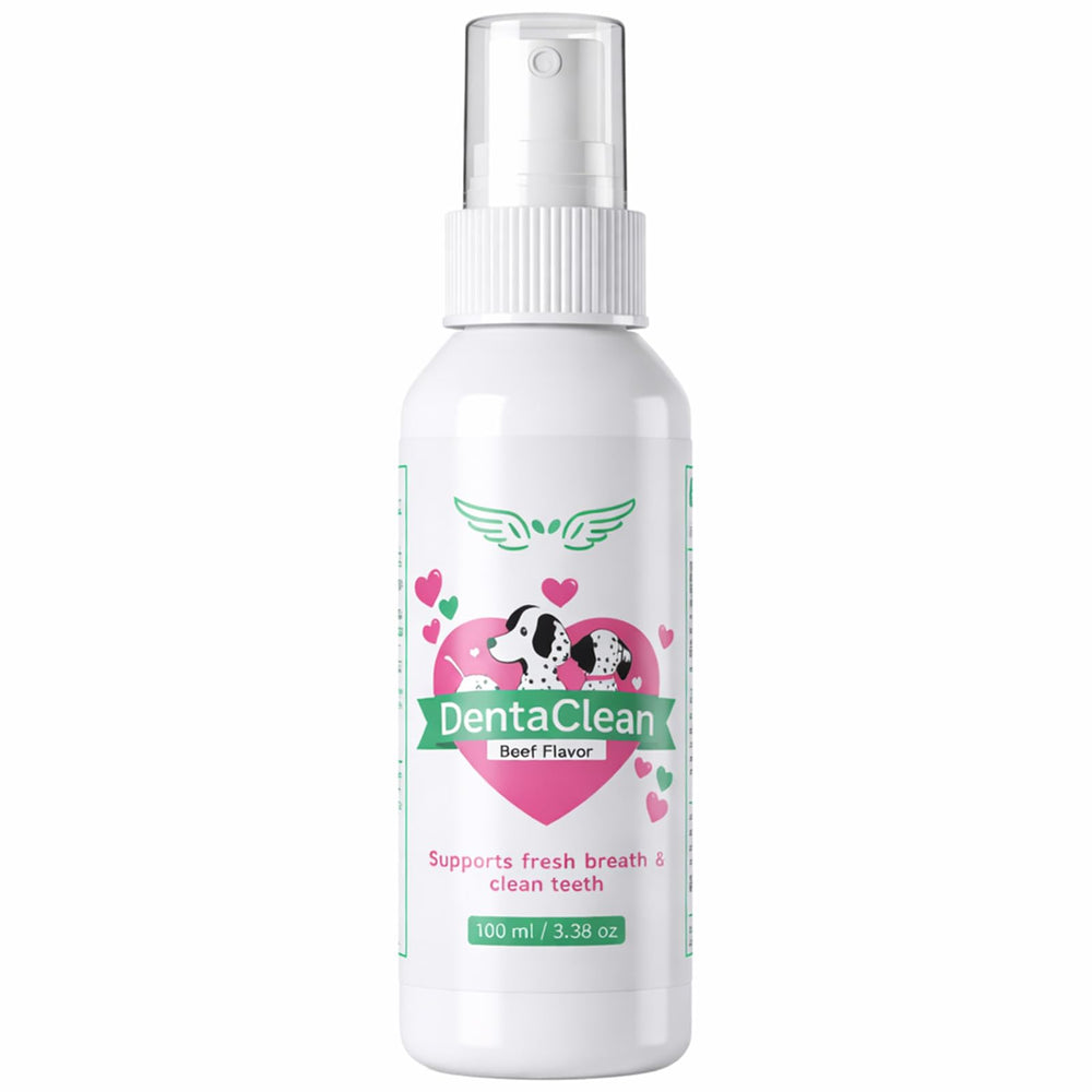 YOCMIPS flacon Dentaclean à l’avant montrant l’emballage et usage pratique
