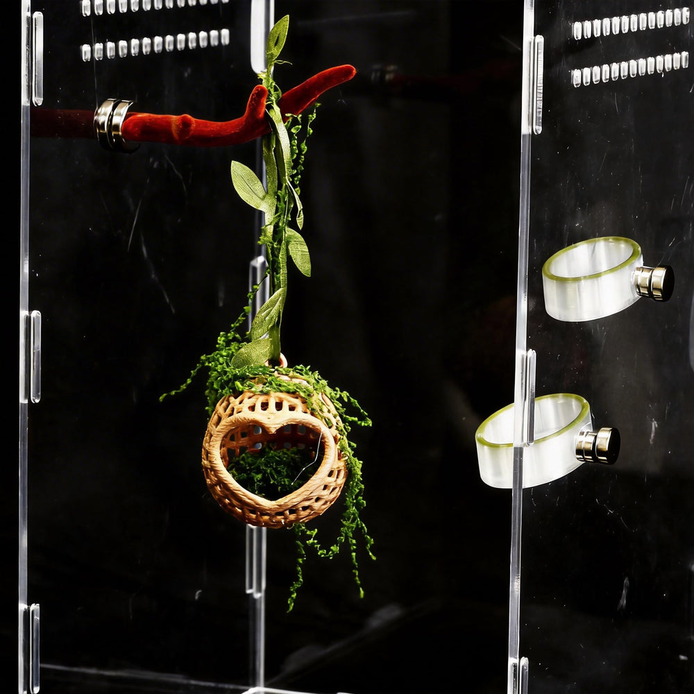 YOMENO accessoires installés dans terrarium améliorant enrichissement visuel