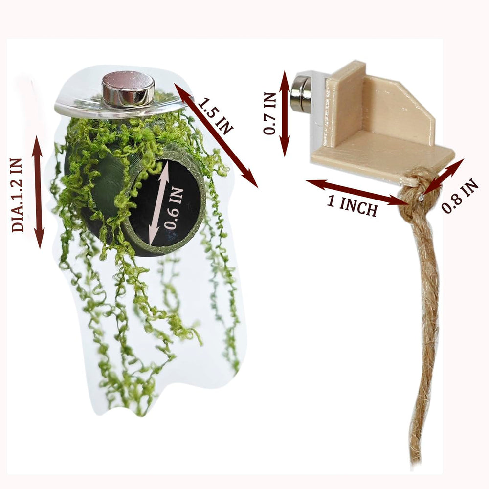 YOMENO installation dans terrarium illustrant enrichissement visuel