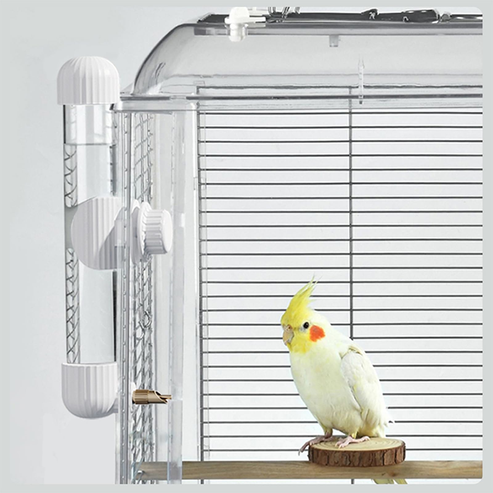 YOOSO WING bouteille transparente montrant niveau d'eau visible instantanément