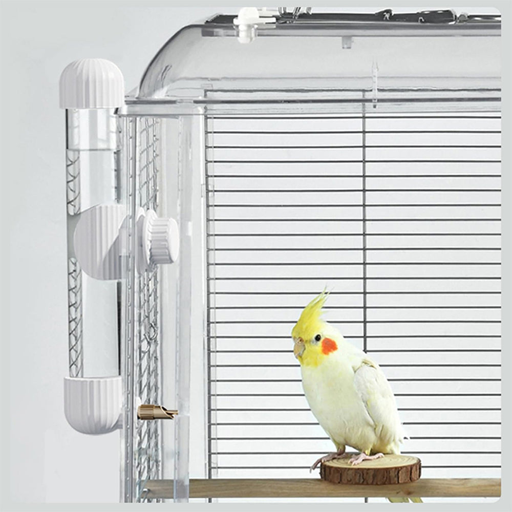 YOOSO WING bouteille transparente montrant niveau d'eau visible instantanément