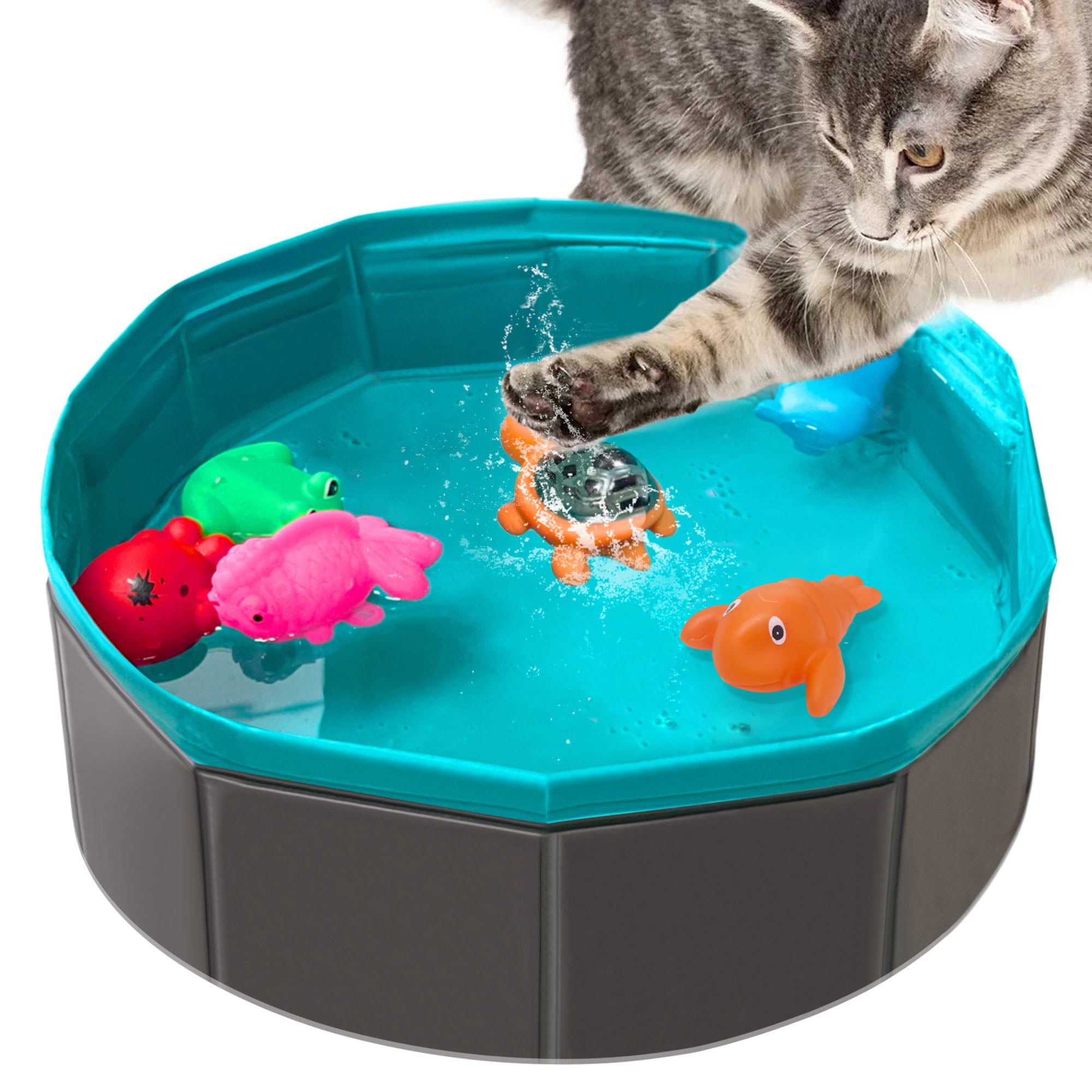 Yopetox piscine pliable vue face pour divertissement facile
