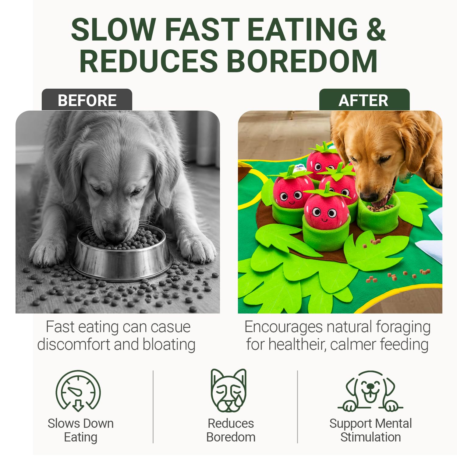 YOPSI chien qui renifle tapis démontrant ralentissement de la prise alimentaire