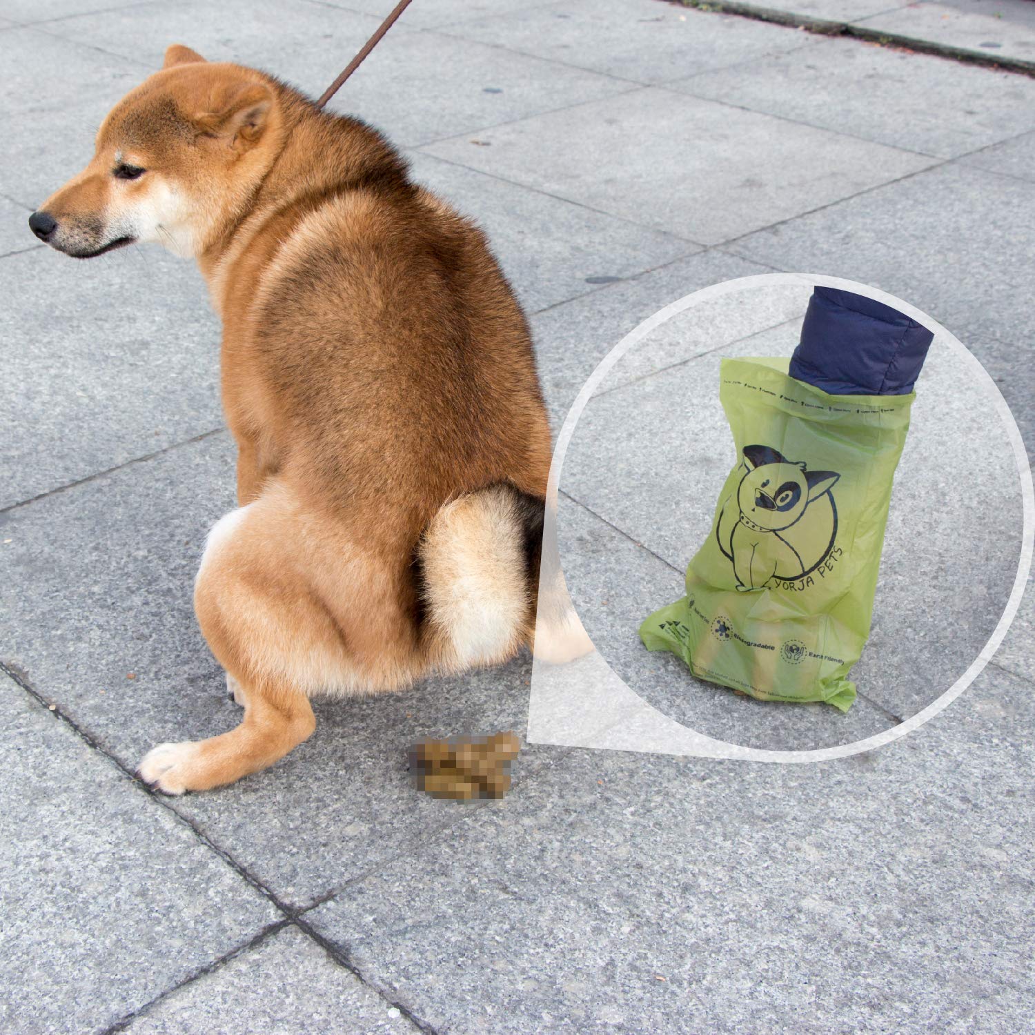 YORJA sac utilisé lors d'une promenade montrant praticité et respect de l'environnement