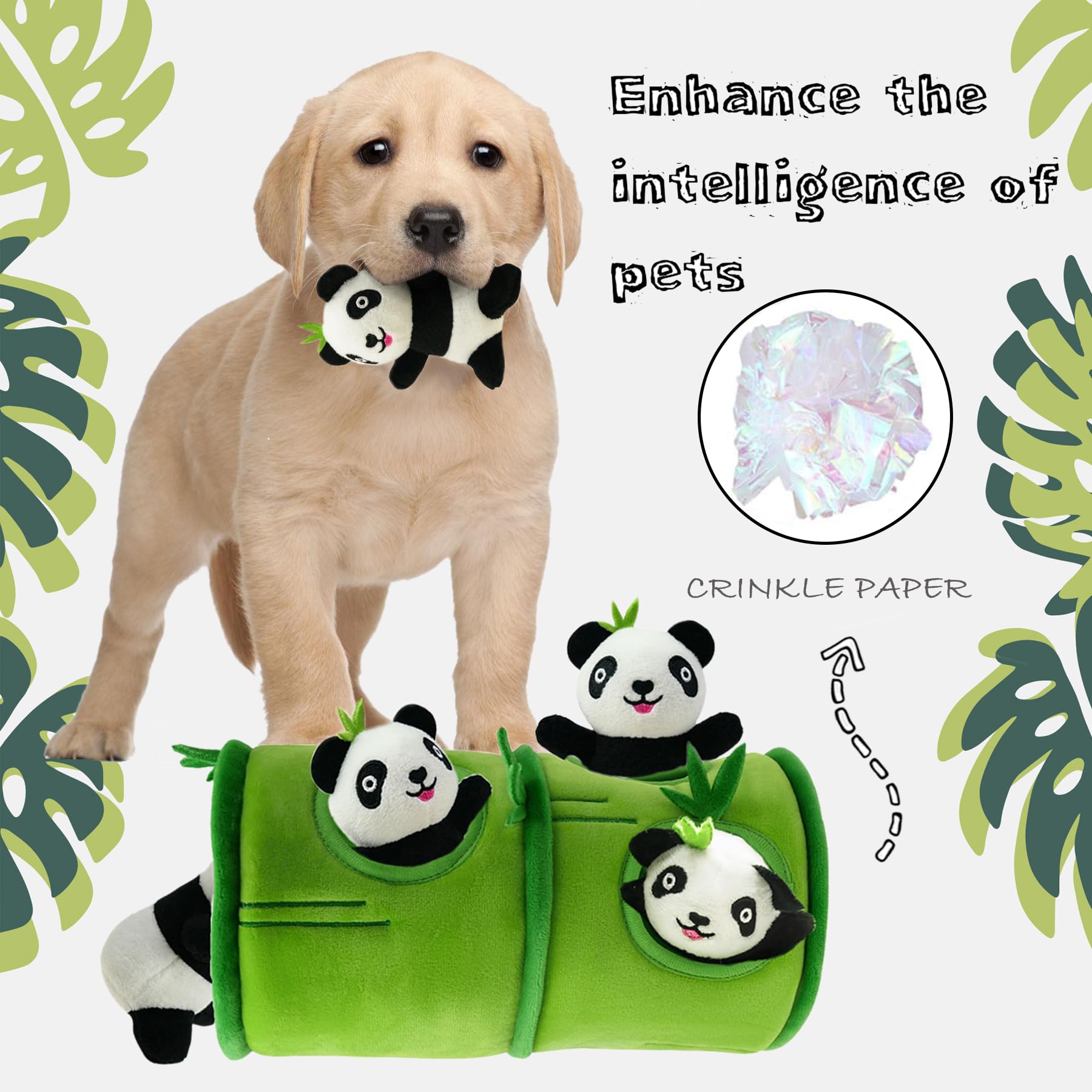 YOUBEMAGIC comparaison de taille illustrant échelle et compatibilité chiens