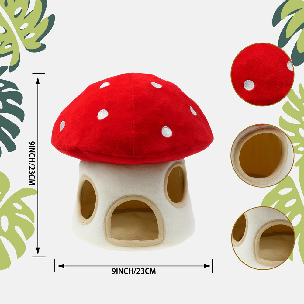 YOUBEMAGIC chien jouant avec raton extrait, favorise l’activité mentale