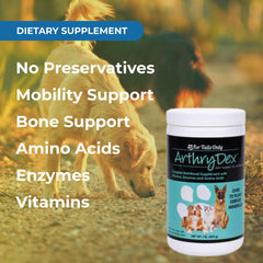 Poudre Youngevity mélangée à la nourriture d'un chien soulignant l'acceptation alimentaire