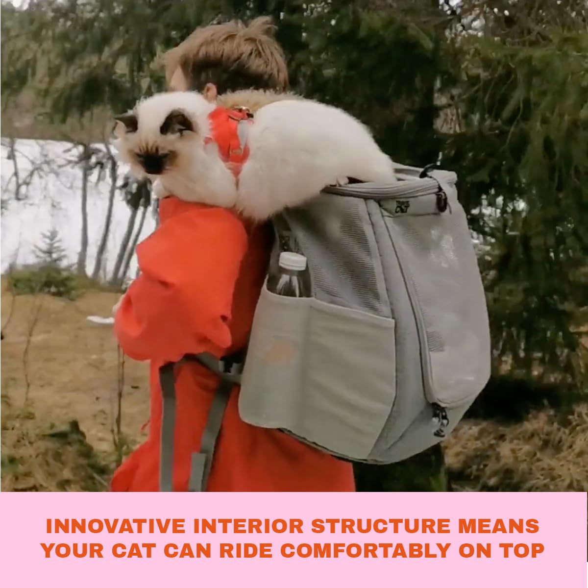 Your Cat Backpack poignées et bretelles ajustables pour confort