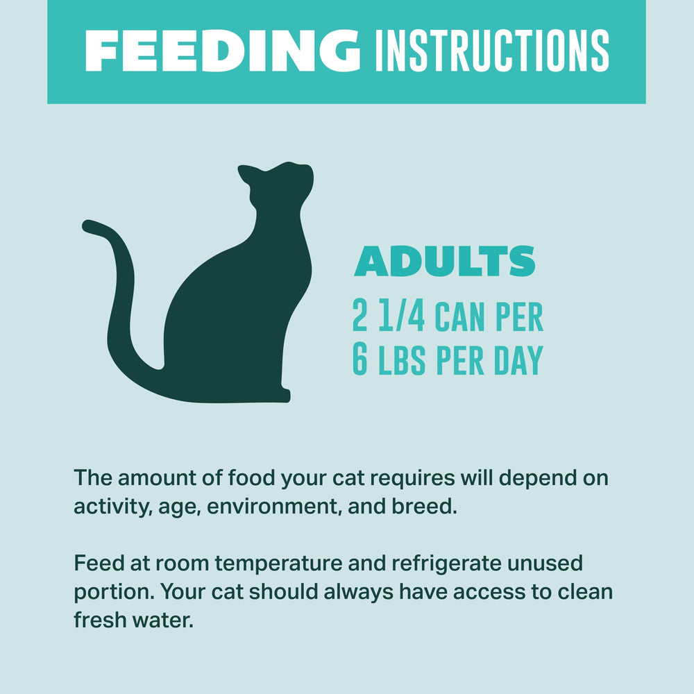 Your Pet's Kitchen étiquette zoom sur informations nutritionnelles claires