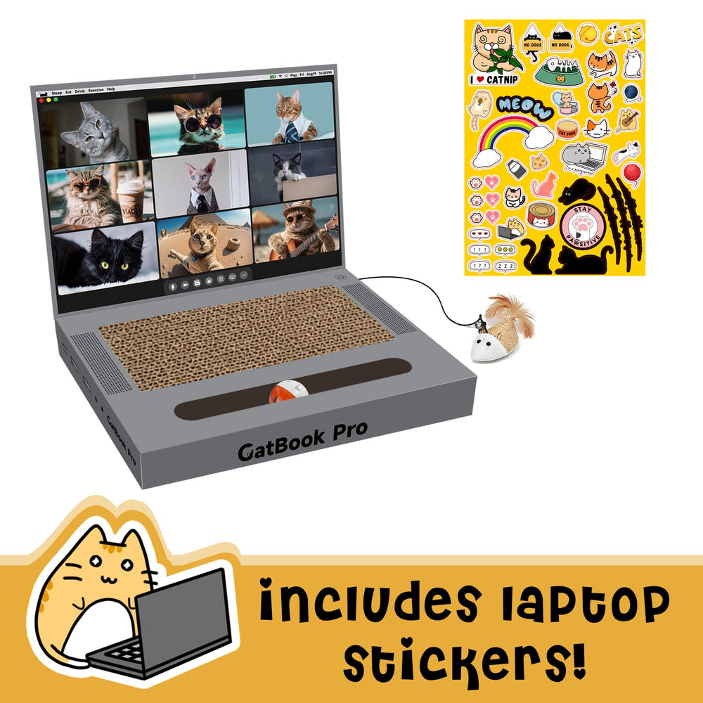 YOUXIFUN griffoir avec souris, balle sonnante et stickers pour un jeu complet et engageant