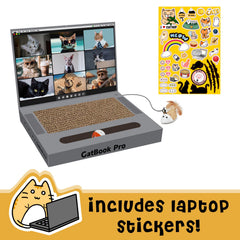 YOUXIFUN griffoir avec souris, balle sonnante et stickers pour un jeu complet et engageant