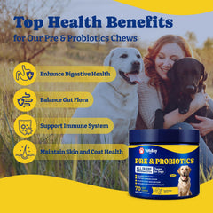 Chien acceptant une friandise YoYoBay pour une prise quotidienne simple