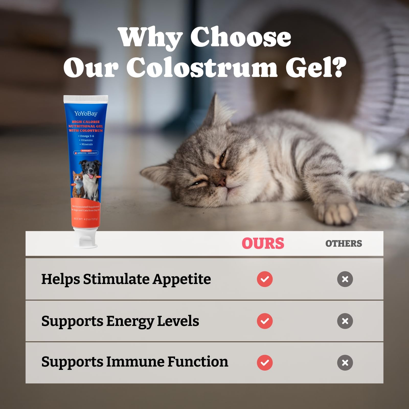 YoYoBay tube ouvert révélant gel nutritif pratique à administrer