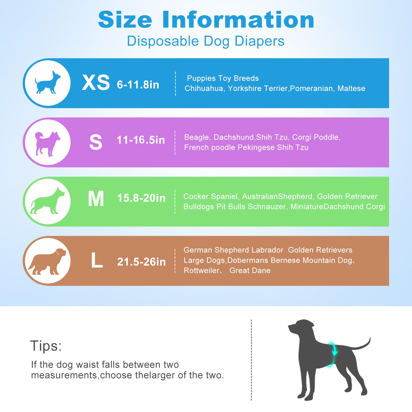 Ypfyed bande ventrale portée sur chien montrant maintien et propreté