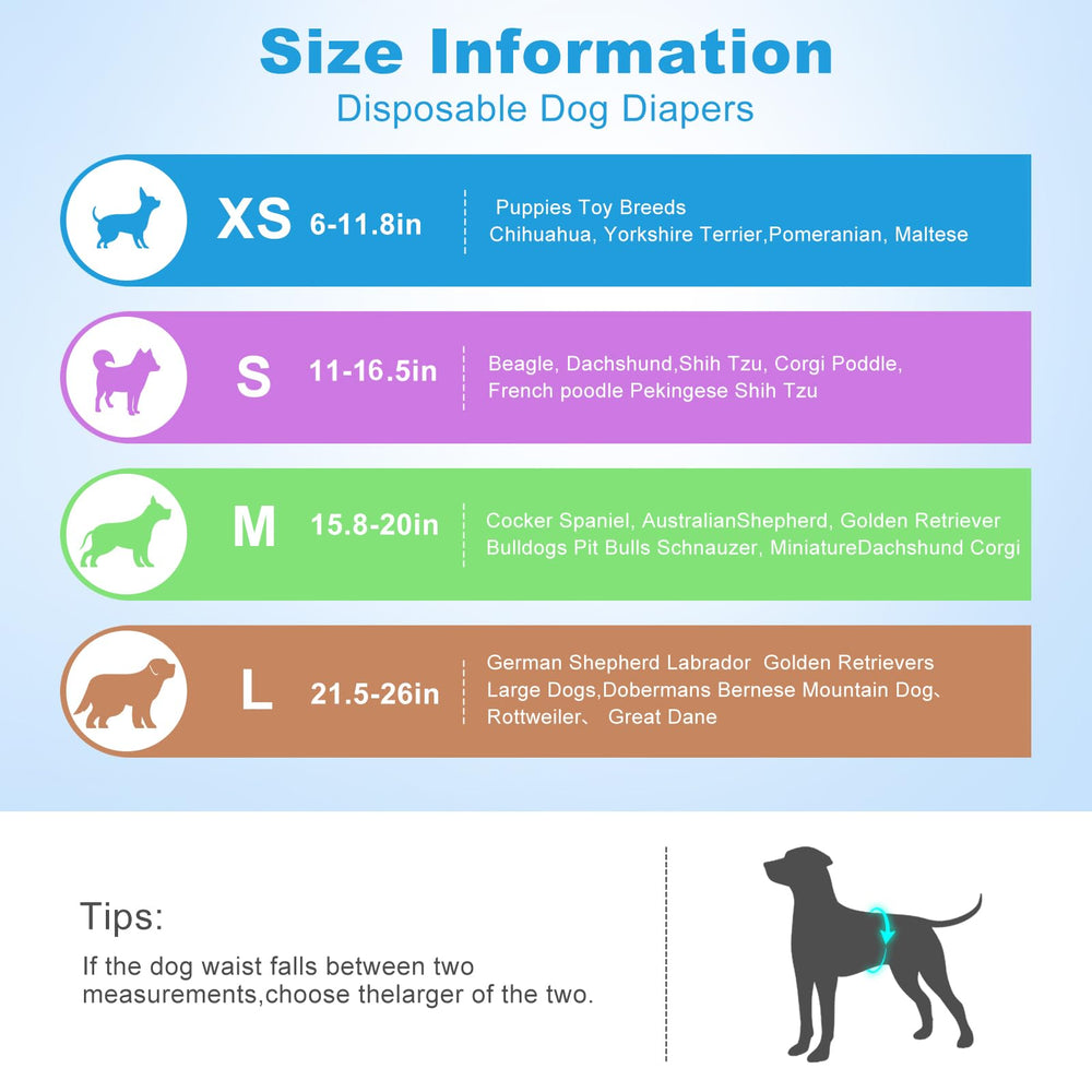Ypfyed bande ventrale portée sur chien montrant maintien et propreté