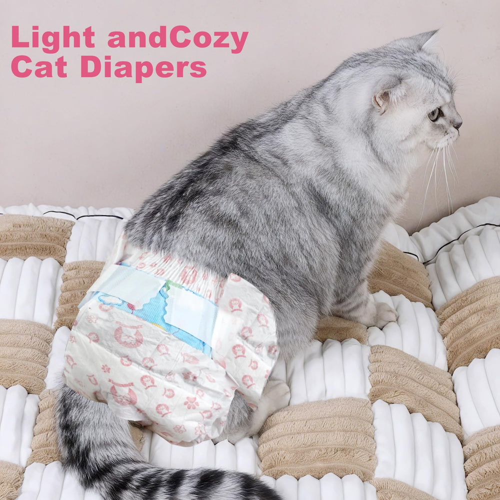 Ypfyed scène de vie chat convalescent confort et hygiène pour la maison