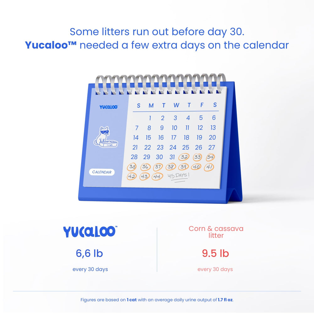 Yucaloo chat utilisant la litière confort et acceptation par l’animal