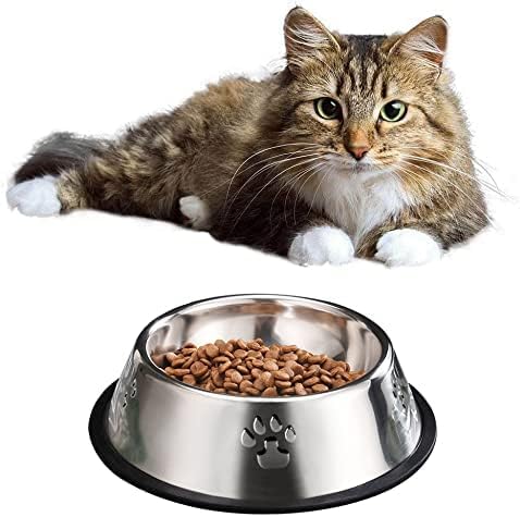 YUDANSI bol à l’échelle d’une main montrant dimensions adaptées pour chiots