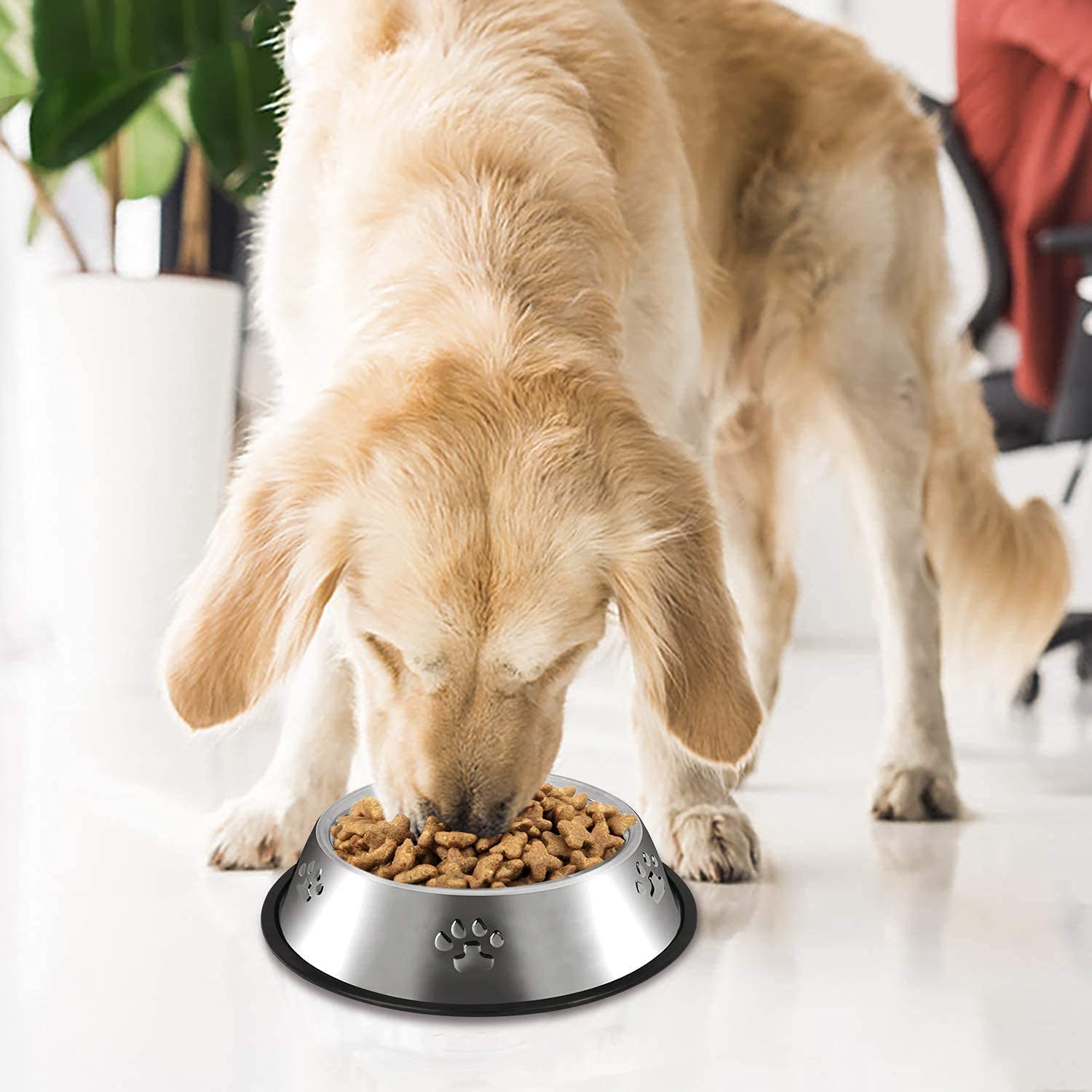 YUDANSI comparaison d'échelle montrant dimensions adaptées chiens moyens
