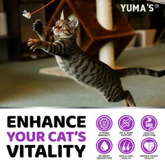 YUMA'S chat mange friandise démontrant acceptation et énergie