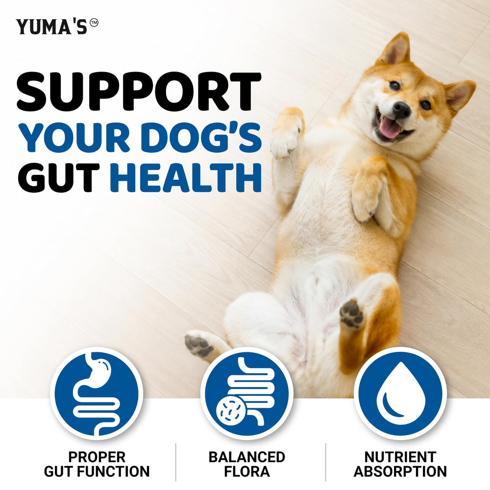 YUMA'S chien mange un supplément pour confort digestif quotidien