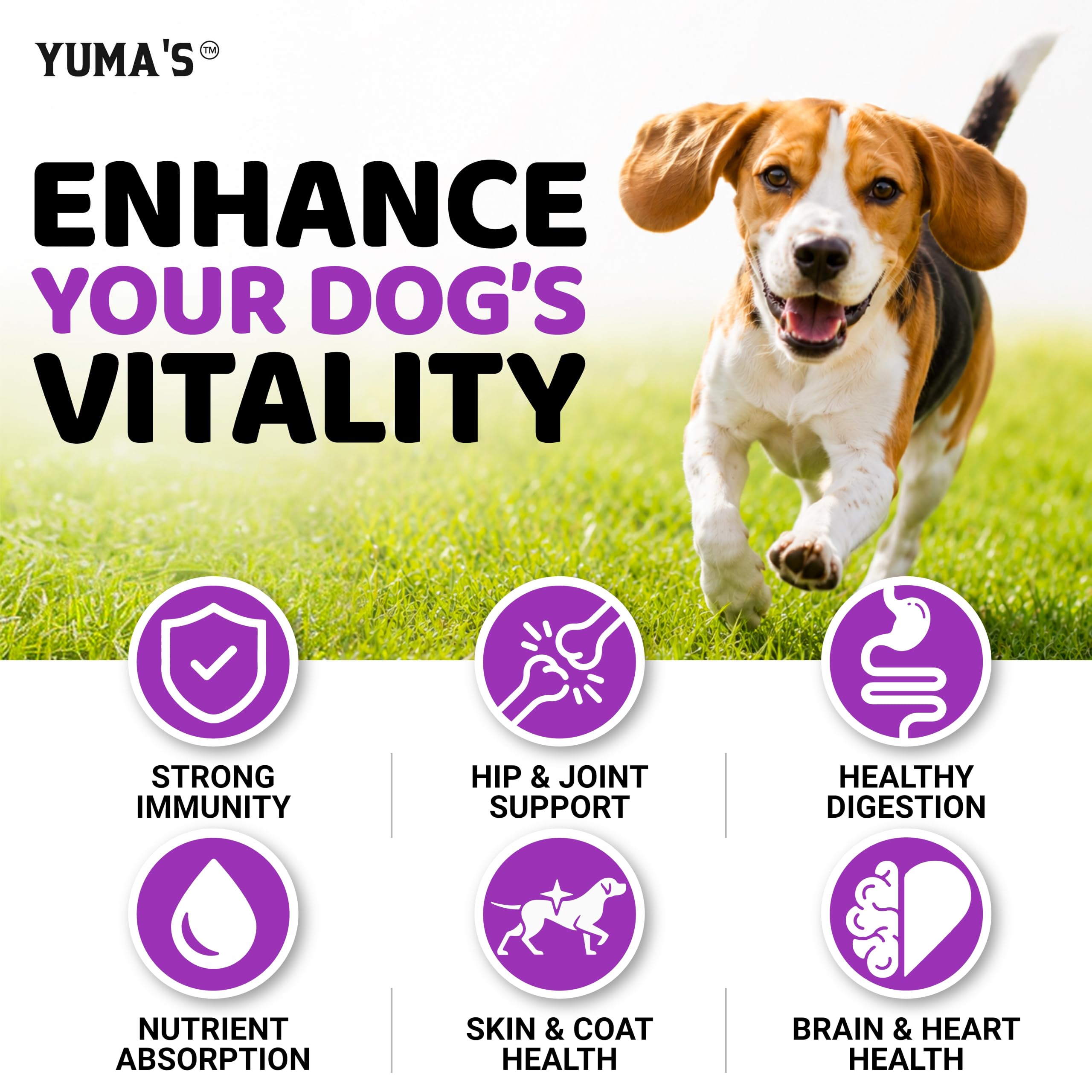 chiot mange friandise YUMA'S, complément adapté croissance et énergie