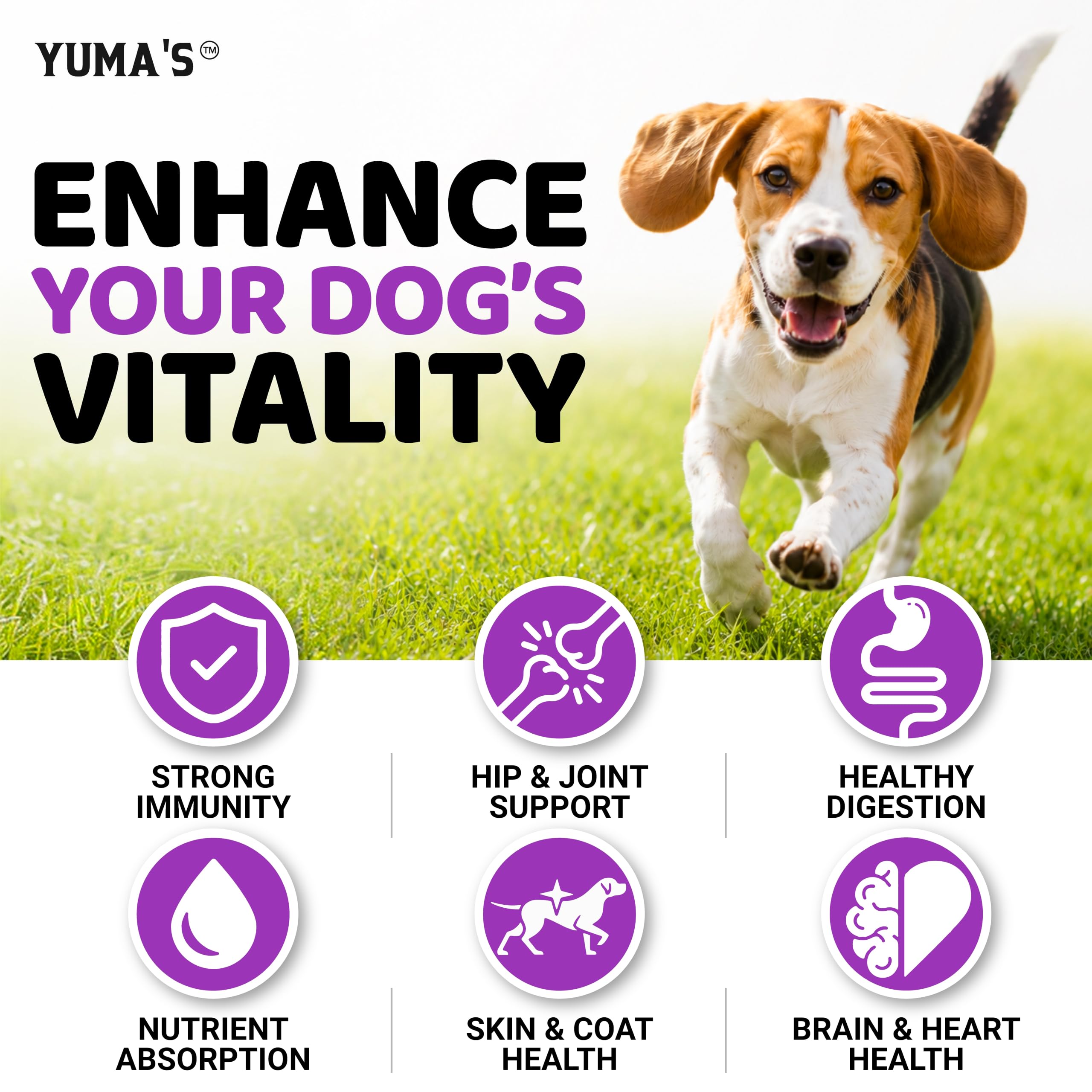 YUMA'S comparaison taille chiot et adulte pour adapter dosage
