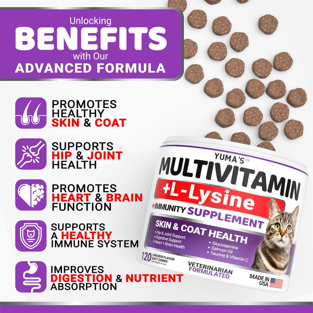 YUMA'S friandise gros plan visible appétence et formulation pratique