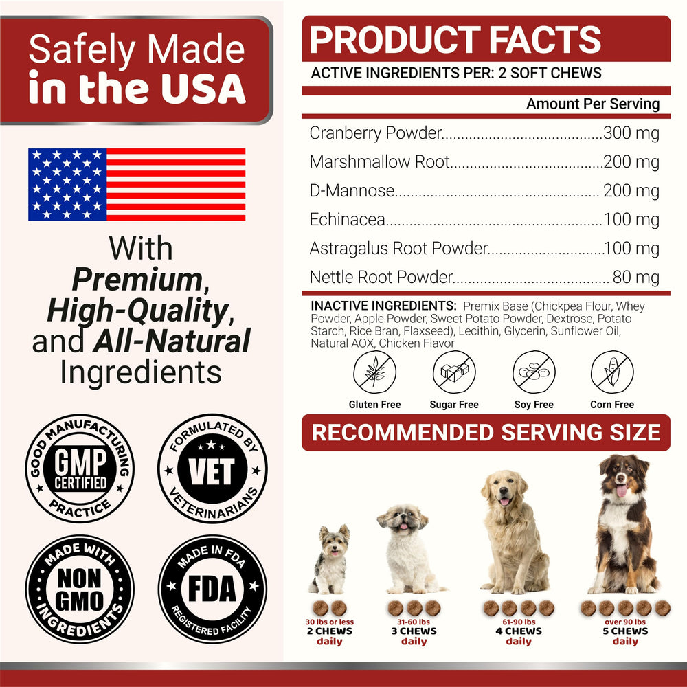 YUMA'S produit en contexte de vie canine montrant intégration quotidienne simple