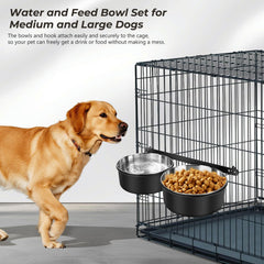 Yummy Sam gamelle en usage avec chien illustrant accès facile et propreté