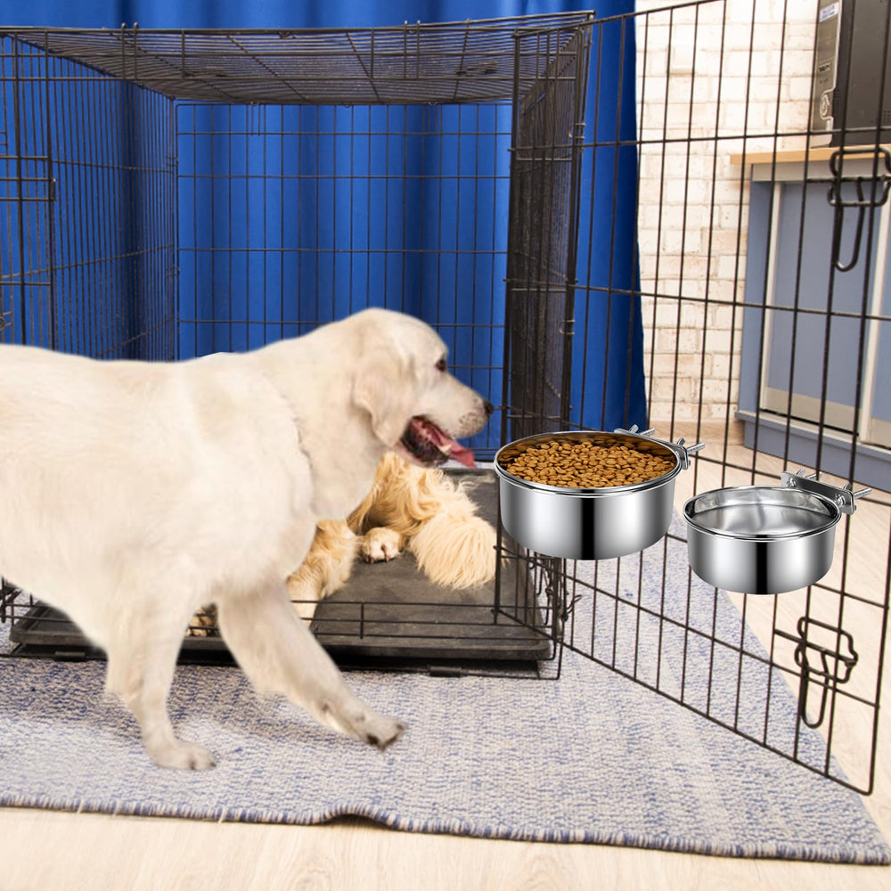 Yummy Sam scène quotidienne chien buvant confortablement sans éclaboussures