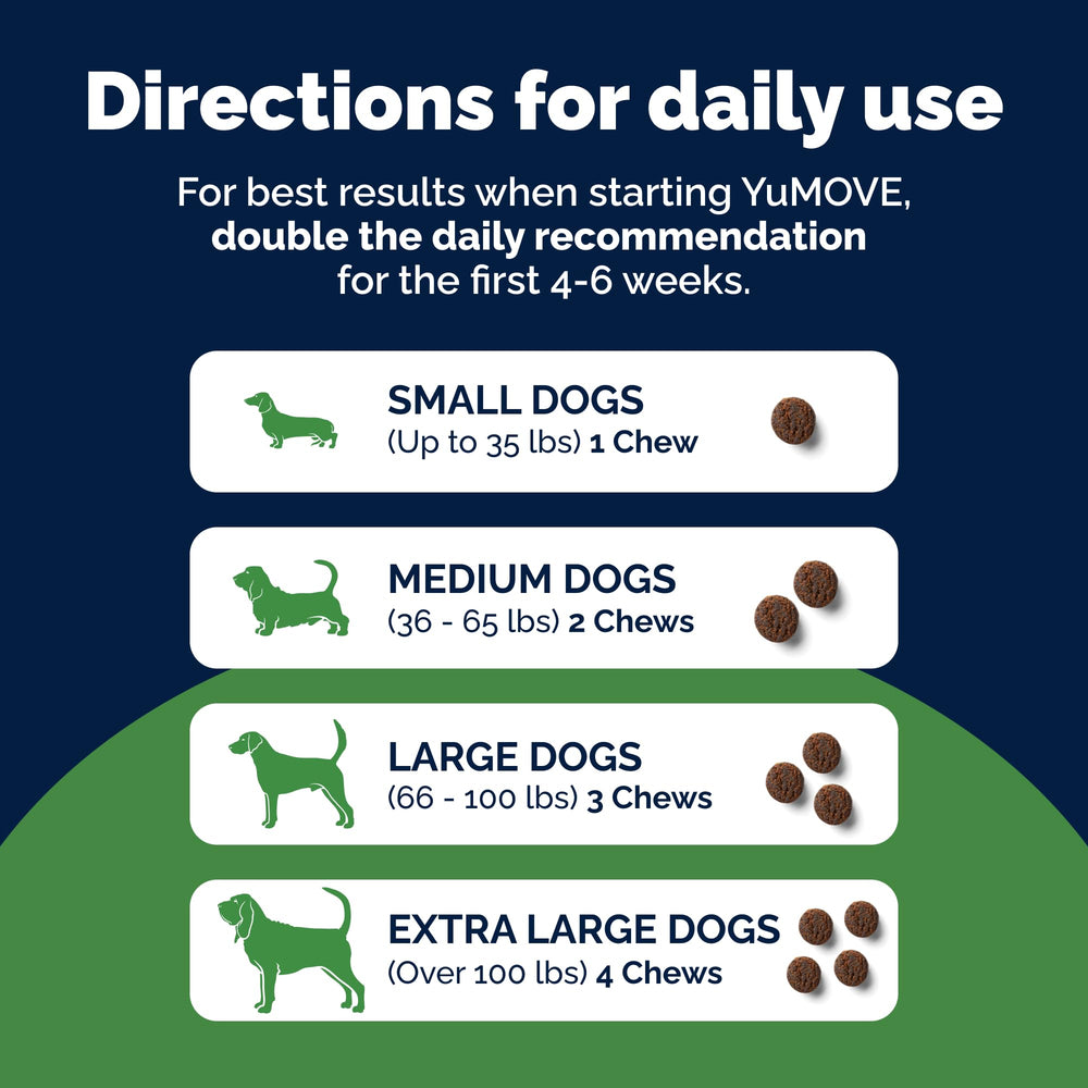 YuMOVE chien recevant une friandise, administration simple et rapide