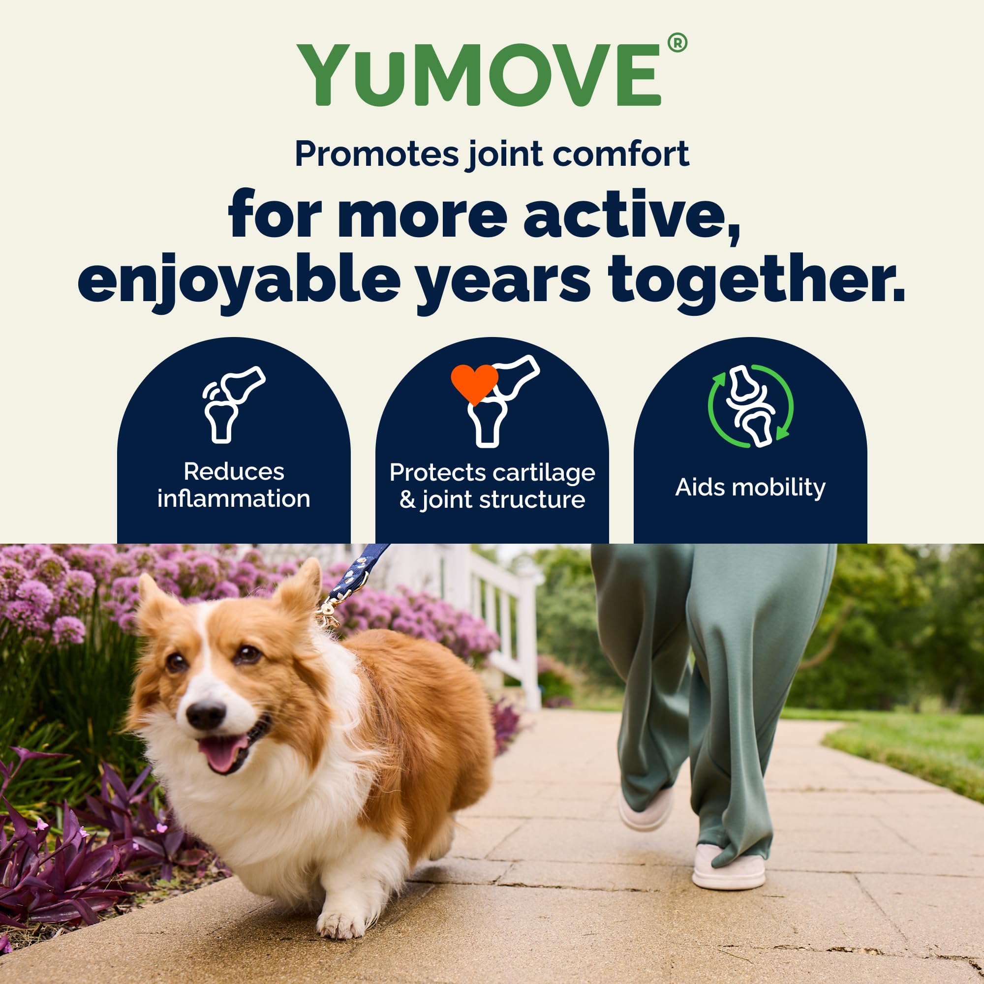 YuMOVE étiquette détaillée affichant ingrédients actifs et concentrations