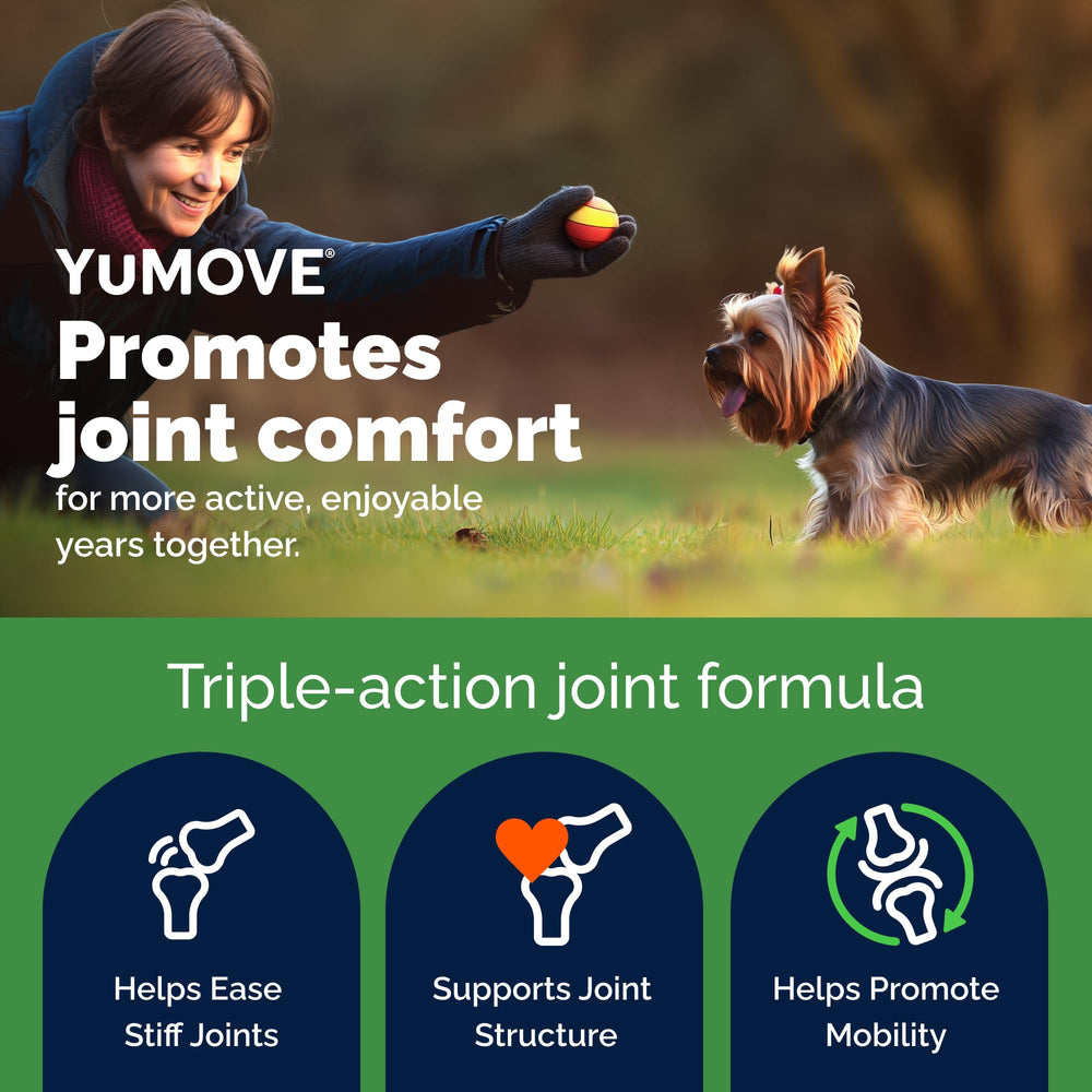 YuMOVE gros plan texture du mastic montrant la facilité d'administration