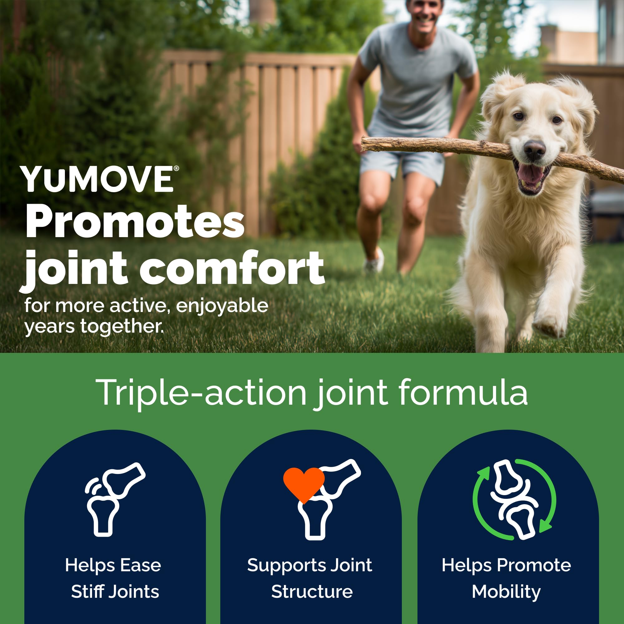 YuMOVE comprimé en main avec petit chien montrant portion adaptée