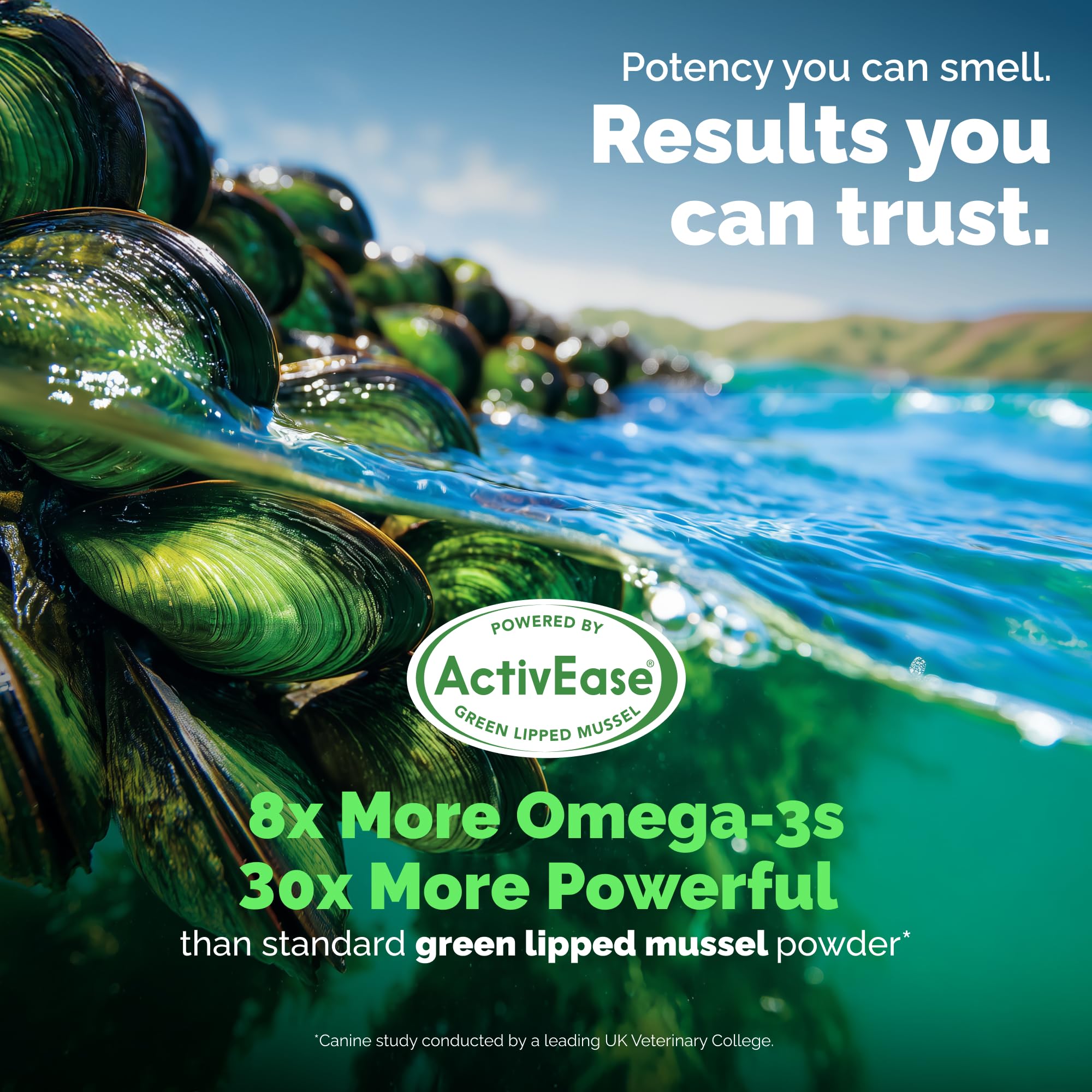 YuMOVE détail ActivEase moule mettant en avant source d'oméga‑3