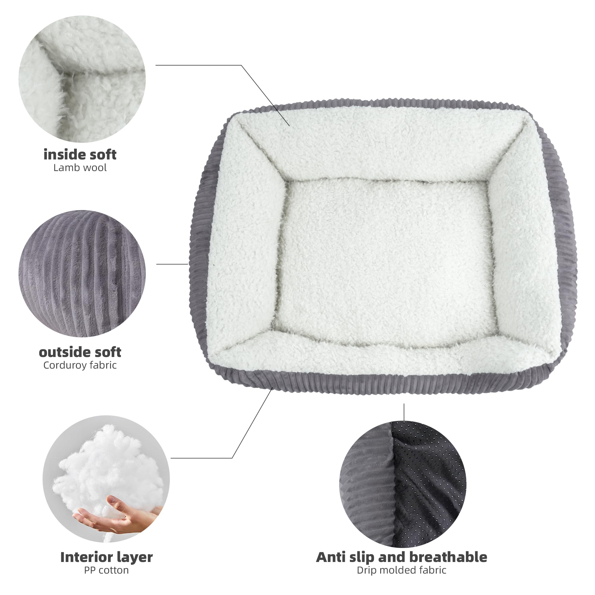 YUNIQUE comparaison taille S montrant proportions pour petit chien
