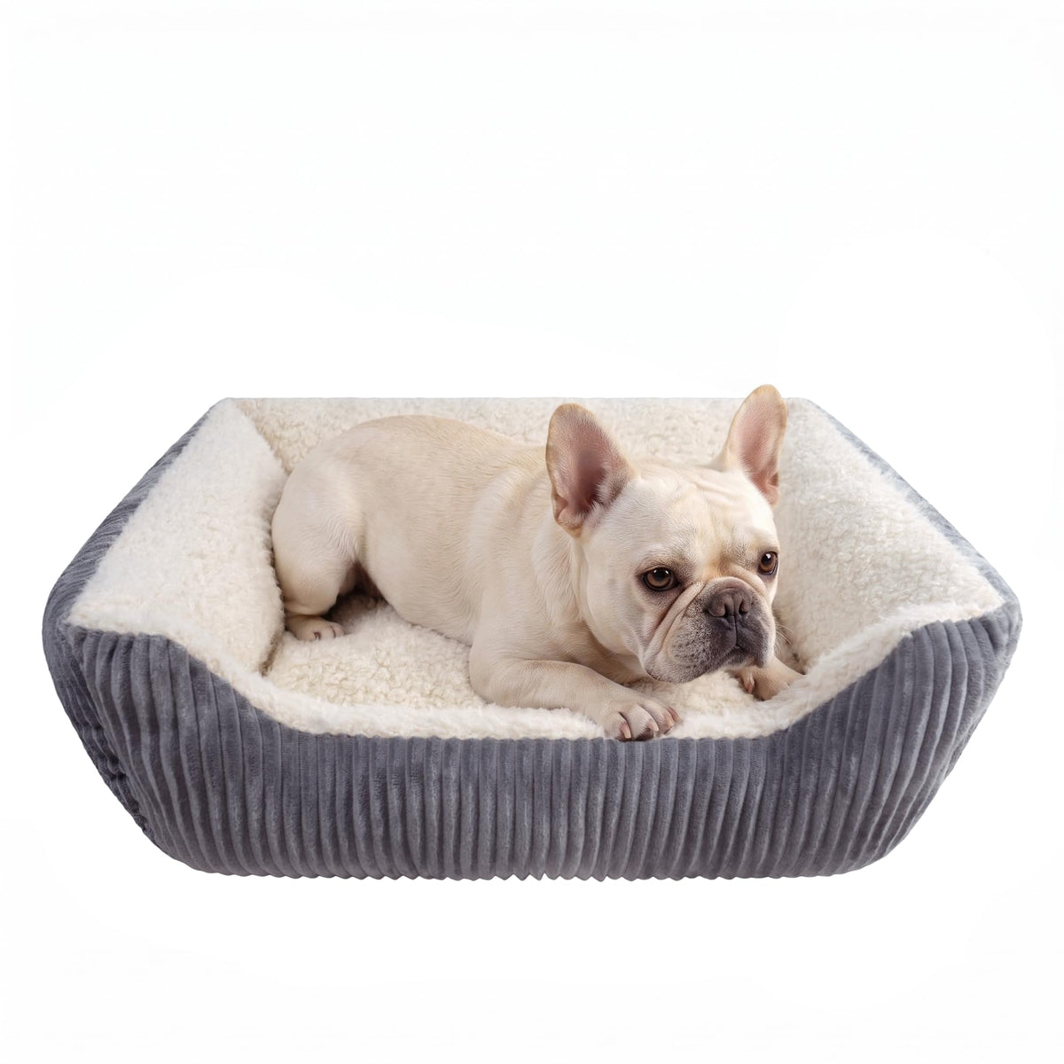 YUNIQUE lit petit chien face montrant confort et design