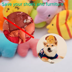 YUNKINGDOM chiot jouant avec peluche pour stimulation et activité ludique