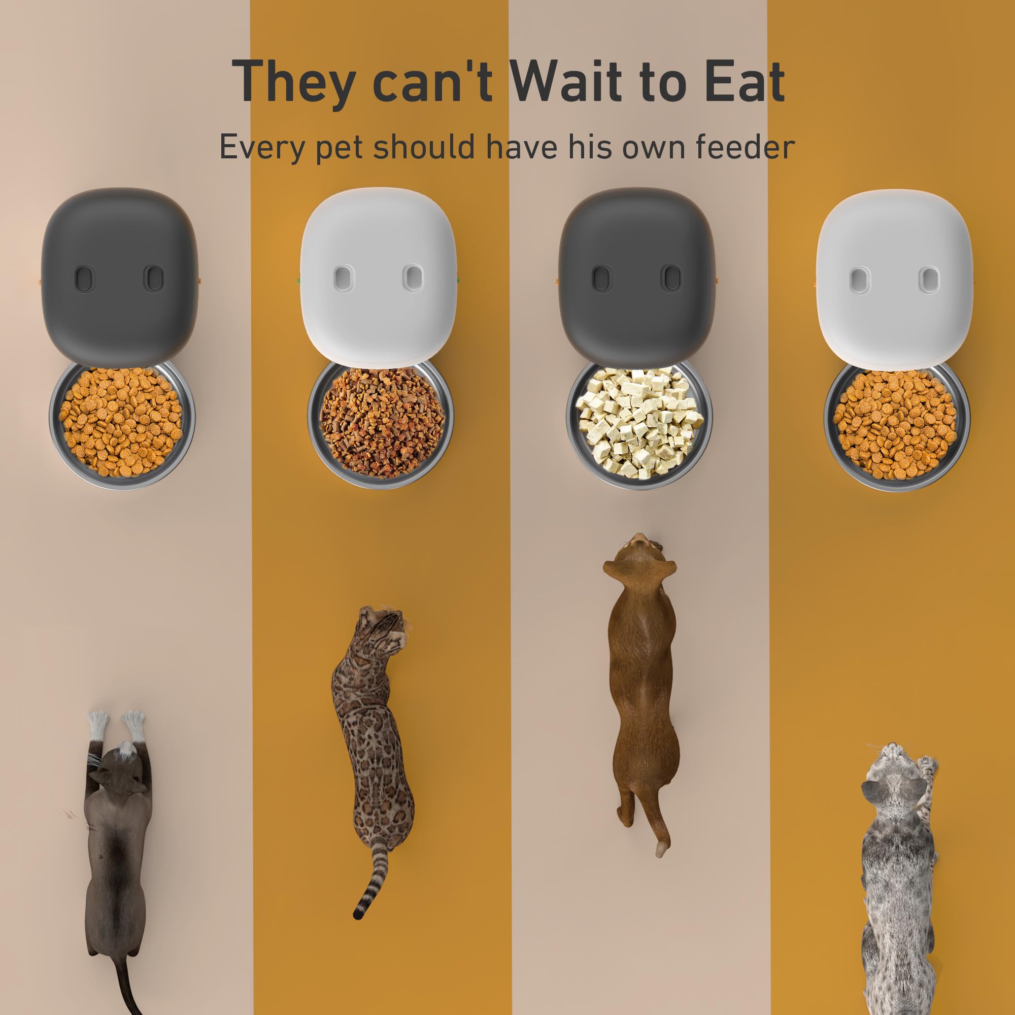 Yuposl distributeur en usage alimentant un chat à heure programmée pour régularité