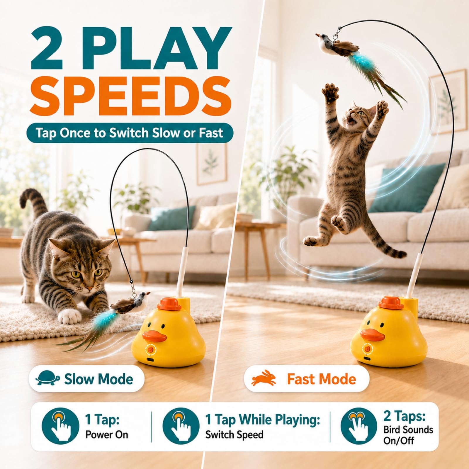 YWK leurre oiseau gros plan stimulant instinct de chasse du chat