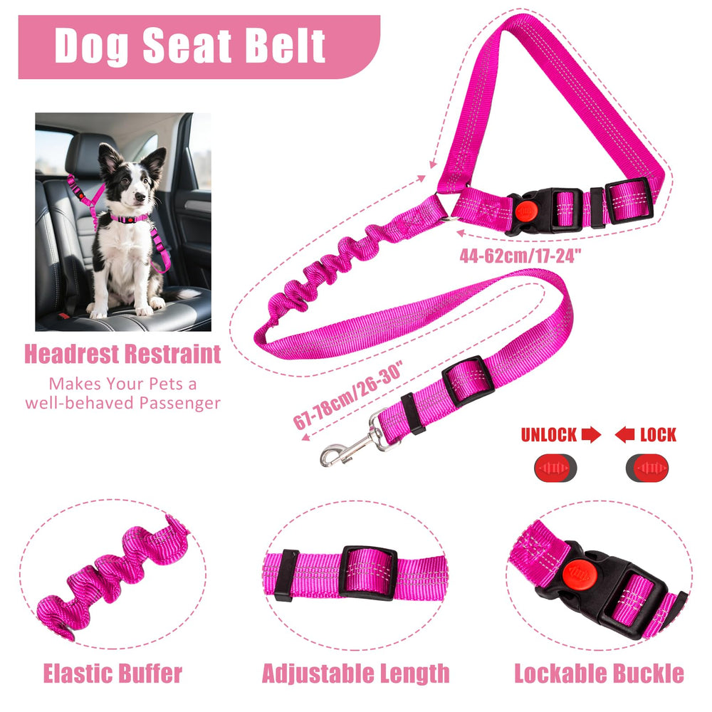 YXFDOYT accessoires disposés incluant bol pliable et distributeur de sacs